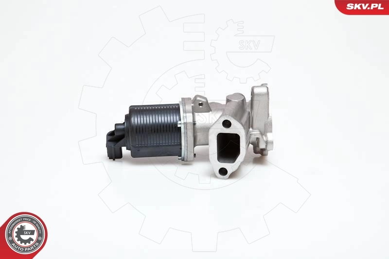 EGR Valve